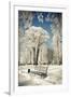 Gramercy White