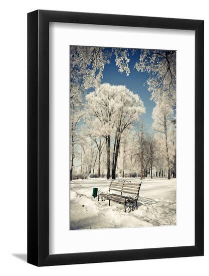 Photographic Print, , large