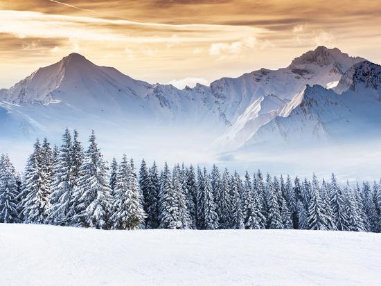 Premium Photographic Print, , large