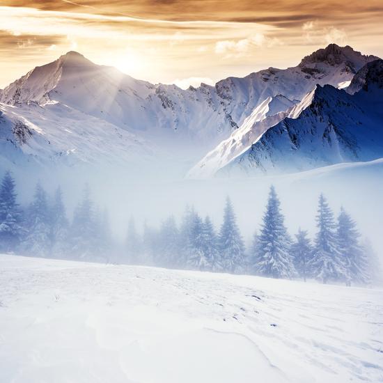 Premium Photographic Print, , large