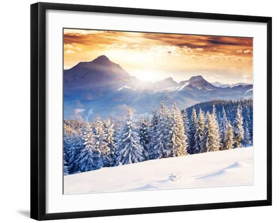 Premium Photographic Print, , large