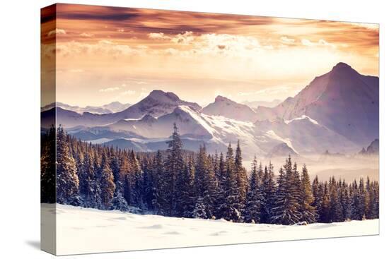 Stretched Canvas Print, , large