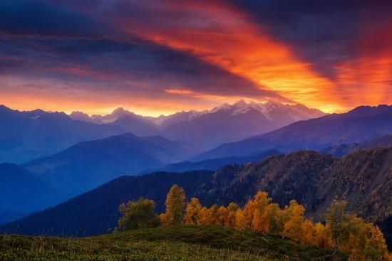 Premium Photographic Print, , large