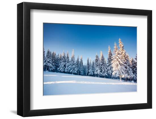 Premium Photographic Print, , large