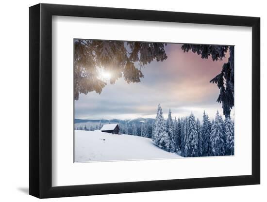 Premium Photographic Print, , large