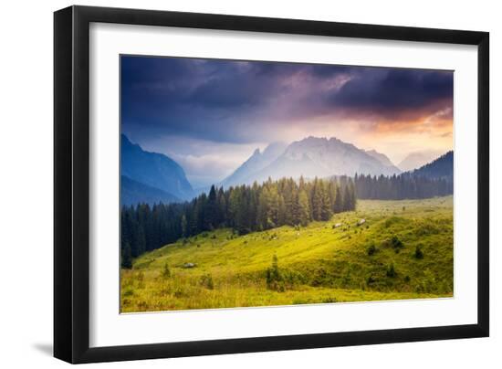 Premium Photographic Print, , large