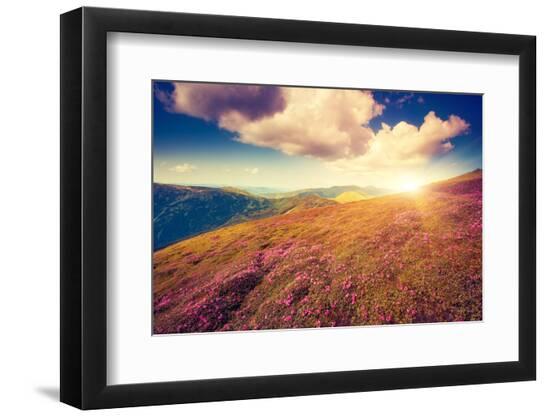Premium Photographic Print, , large