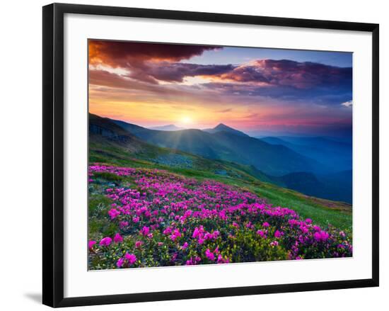 Premium Photographic Print, , large