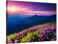 Stretched Canvas
