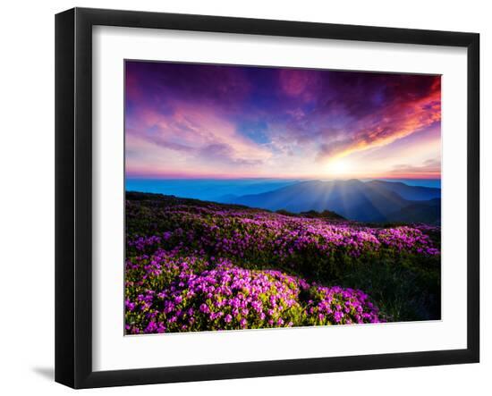 Photographic Print, , large