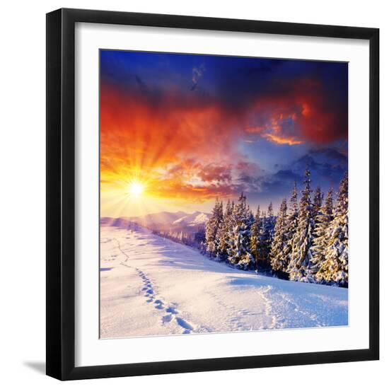 Premium Photographic Print, , large
