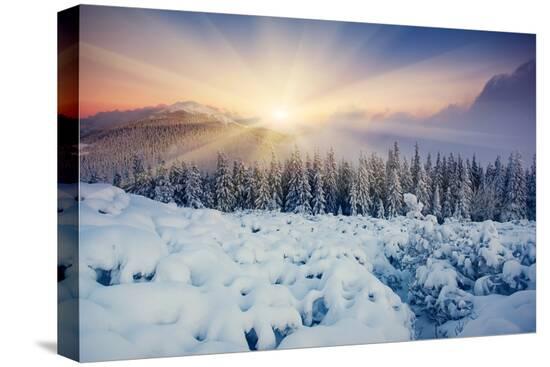 Stretched Canvas Print, , large