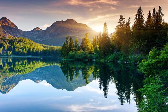 Premium Photographic Print, , large