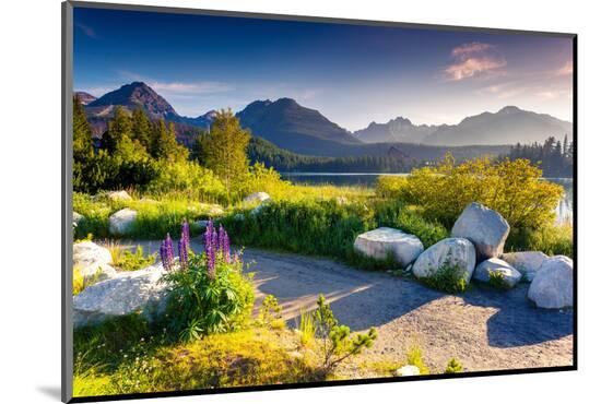 Photographic Print, , large