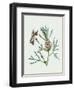 Leonurus Japonicus II-Melissa Wang-Framed Art Print