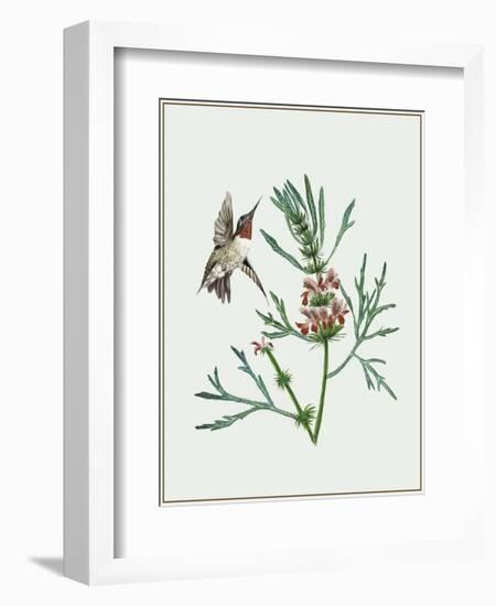 Leonurus Japonicus II-Melissa Wang-Framed Art Print