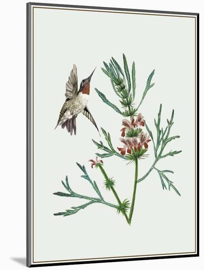 Leonurus Japonicus II-Melissa Wang-Mounted Art Print