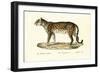 Leopard, 1824-Karl Joseph Brodtmann-Framed Giclee Print