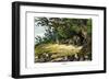 Leopard, 1860-null-Framed Giclee Print