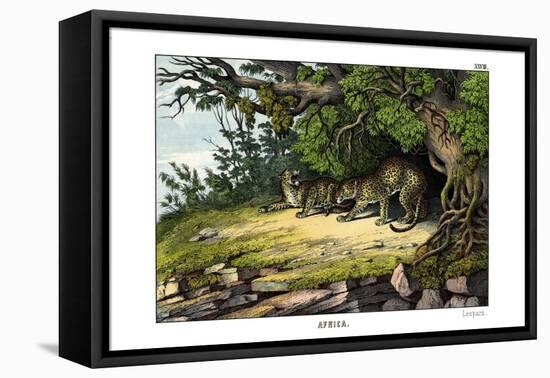 Leopard, 1860-null-Framed Stretched Canvas