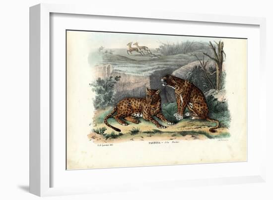 Leopard, 1863-79-Raimundo Petraroja-Framed Giclee Print