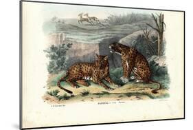 Leopard, 1863-79-Raimundo Petraroja-Mounted Giclee Print