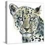 Leopard, 2015,-Mark Adlington-Stretched Canvas