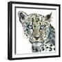 Leopard, 2015,-Mark Adlington-Framed Giclee Print