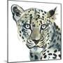 Leopard, 2015,-Mark Adlington-Mounted Giclee Print