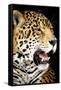 Leopard 2-Dennis Goodman-Framed Stretched Canvas