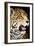 Leopard 2-Dennis Goodman-Framed Photographic Print