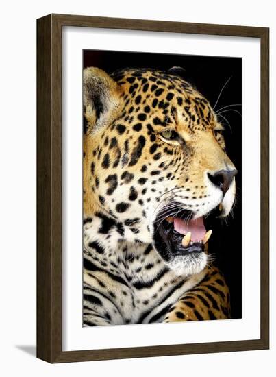 Leopard 2-Dennis Goodman-Framed Photographic Print