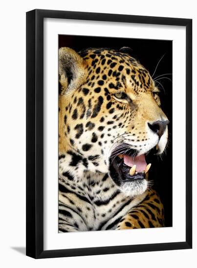 Leopard 2-Dennis Goodman-Framed Photographic Print