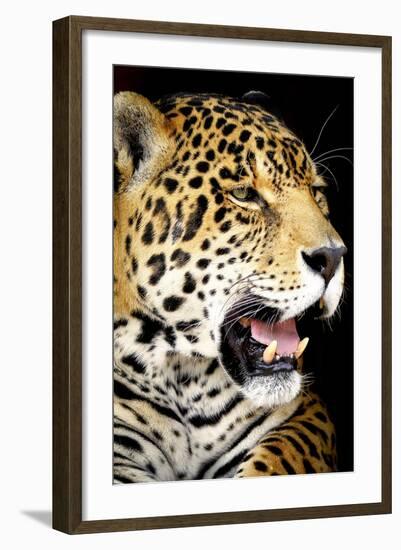 Leopard 2-Dennis Goodman-Framed Photographic Print