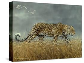 Leopard 2-Harro Maass-Stretched Canvas