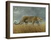 Leopard 2-Harro Maass-Framed Giclee Print