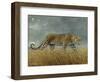 Leopard 2-Harro Maass-Framed Premium Giclee Print