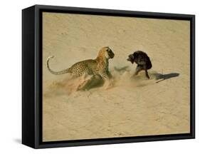 Leopard About to Kill a Terrified Baboon-John Dominis-Framed Stretched Canvas