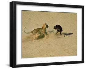 Leopard About to Kill a Terrified Baboon-John Dominis-Framed Photographic Print