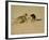 Leopard About to Kill a Terrified Baboon-John Dominis-Framed Photographic Print