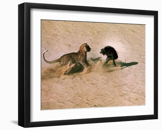 Leopard About to Kill a Terrified Baboon-John Dominis-Framed Photographic Print