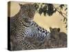 Leopard and Cub Resting, Masai Mara Game Reserve, Kenya-Paul Souders-Stretched Canvas