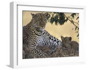 Leopard and Cub Resting, Masai Mara Game Reserve, Kenya-Paul Souders-Framed Photographic Print