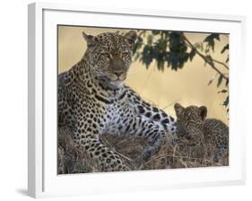Leopard and Cub Resting, Masai Mara Game Reserve, Kenya-Paul Souders-Framed Photographic Print