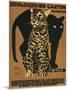 Leopard and Panther, Munich Zoo-null-Mounted Art Print