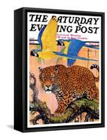 "Leopard and Parrots in Jungle," Saturday Evening Post Cover, September 2, 1933-Paul Bransom-Framed Stretched Canvas