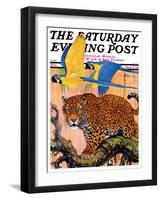 "Leopard and Parrots in Jungle," Saturday Evening Post Cover, September 2, 1933-Paul Bransom-Framed Giclee Print