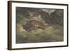 Leopard and Serpent, 1810–75-Antoine Louis Barye-Framed Giclee Print