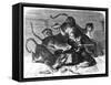 Leopard Attack on Zoo Keeper, 1870-null-Framed Stretched Canvas
