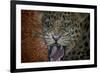 Leopard Attack-Cherie Roe Dirksen-Framed Giclee Print